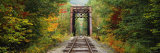 Railroad Track Passing Through a Forest, White Mountain National Forest, New Hampshire, USA Photographic Print