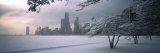 Buy Snow Covered Tree at North Avenue Beach, Chicago, Illinois, USA at AllPosters.com