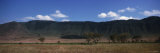 Trees on a Landscape and a Mountain Range in the Background, Serengeti National Park, Tanzania