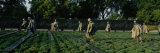 Statues of Army Soldiers in a Park, Korean War Veterans Memorial, Washington DC, USA