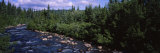 Stream Flowing Through a Forest, Little Williow Creek, Hatcher Pass Road, Alaska, USA