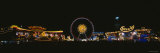 Ferris Wheel and Neon Signs Lit Up at Night in an Amusement Park, Oktoberfest, Munich, Germany