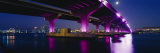 Bridge Lit Up Across a Bay, Macarthur Causeway, Biscayne Bay, Miami, Florida, USA