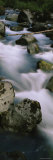 Skokomish River, Olympic National Park, Washington, USA