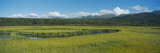 Marsh in a Landscape, Potter Marsh, Alaska, USA