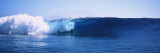 Buy Body Boarder Surfing in the Ocean, Tahiti, French Polynesia at AllPosters.com
