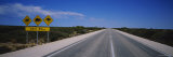 Buy Animal Crossing Signs at the Roadside, Eyre Highway, Australia at AllPosters.com