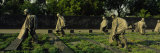 Statues of Army Soldiers in a Park, Korean War Veterans Memorial, Washington DC, USA