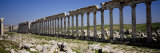Old Ruins of Cardo Maximus, Apamea, Syria