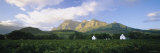 Babylons Torren Wine Estates, Paarl, Western Cape, Cape Town, South Africa