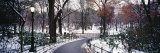 Walkway in a Park, Central Park, Manhattan, New York City, New York, USA