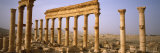 Old Ruins of Palmyra, Syria
