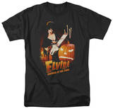 Buy Elvira - Protect Your Pumpkins at AllPosters.com