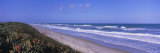 Waves on Playlinda Beach, Canaveral National Seashore, Titusville, Florida, USA