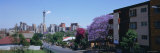 Buildings in Johannesburg, South Africa