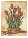 Buy Potted Tulips at AllPosters.com