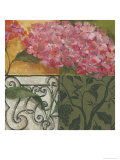 Buy Hydrangea Detail II at AllPosters.com
