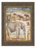 Buy On Safari, no. 3 at AllPosters.com