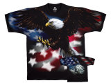 Nature - American Eagle