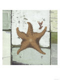 Sea Life IV