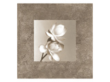 Buy Lotus Duet at AllPosters.com