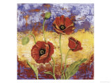 Buy Ruby Red Poppies at AllPosters.com