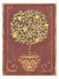 Lemon Tree