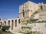Aleppo Citadel, Syria
