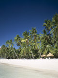 Boracay Beach, Palm Trees and Sand, Boracay Island, Philippines
