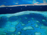 Great Barrier Reef, Whitsundy, Queensland, Australia