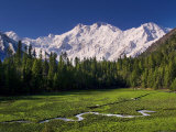 Nanga Parbat, from Fairy Meadows, Diamir District, Pakistan