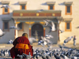 Gandan Khiid Monastery, Ulaan Baatar, Mongolia