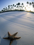 Beach at Zanzibar, Tanzania