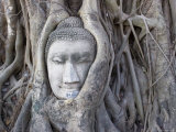 Buddha Head, Wat Phra Mahathat, Ayutthaya, Thailand