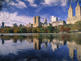 Buy Central Park, New York City, Ny, USA at AllPosters.com