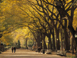 Central Park, New York City, Ny, USA