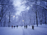 Buy Central Park, New York City, Ny, USA at AllPosters.com