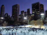 Buy Central Park, New York City, Ny, USA at AllPosters.com