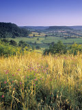 Coaley Peak, Dursley, Cotswolds, England