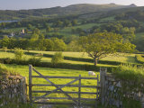 Buy Sheepstor, Dartmoor, Devon, England at AllPosters.com