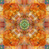 Colseaworld Mandala, no. 1