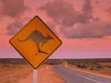 Buy Road Sign, Shark Bay National Park, Western Australia, Australia at AllPosters.com