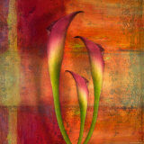 Three Pink Lilies