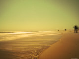 Golden Beach Landscape
