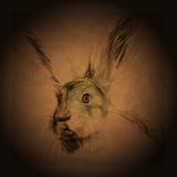 Listening Hare