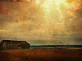 Cabin alongside River in Copper Field