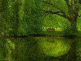 Green World Fotografie-Druck