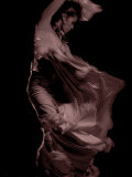 Flamenco