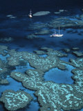 Buy Great Barrier Reef, Queensland, Australia at AllPosters.com