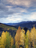 Buy Rogers Pass, Glacier National Park, British Columbia, Canada at AllPosters.com
